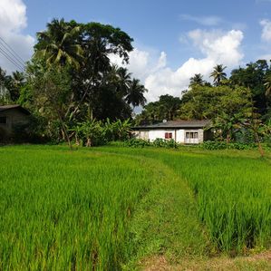 Land for Sale in Kegalle - Image 3
