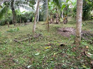 Land for Sale - Homagama / Near Kiriwaththuduwa