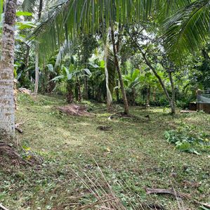 Land for Sale - Homagama / Near Kiriwaththuduwa - Image 3