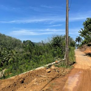රබර් ඉඩමක් විකිණීමට මින්නාන - Image 3