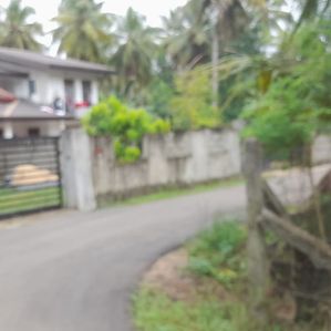 Lands for sale in Polgahawela - Image 2