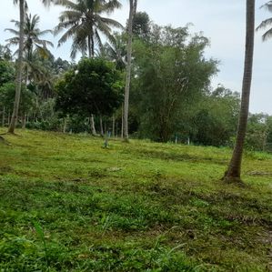 Lands for sale in Polgahawela - Image 3