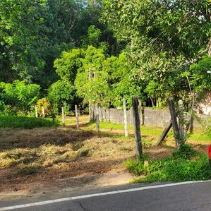 Prime Block of 12 Perches Land Wide Tarred Rd Kalalgoda - Image 2
