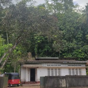 Land For Sale In Kuruduwaththa,Galle. - Image 2