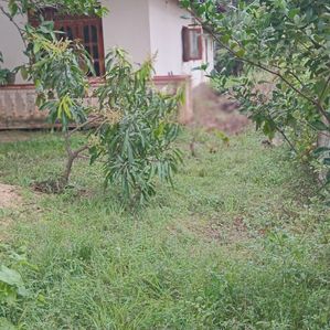 ඉඩමක් සමග නිවසක් විකිණීමට ඇත බෝපත්ගම - Image 3