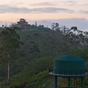 Cloudy Bay Watawala - Image 3