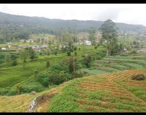 Nuwara Eliya Land For Sale