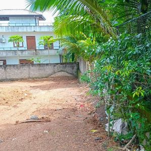 Land for Sale Mahawila - Image 2