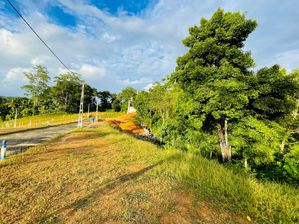 Land for Sale in Galle, Imaduwa Town
