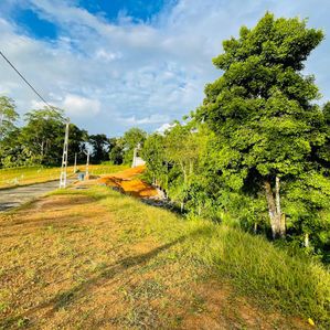 Land for Sale in Galle, Imaduwa Town - Image 2