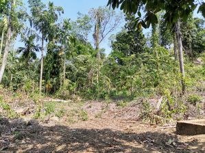 Land For Sale in Kirindiwela