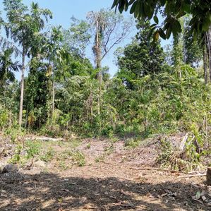 Land For Sale in Kirindiwela - Image 2