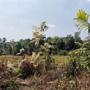 Land For Sale in Kirindiwela - Image 3