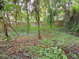 Land for Sale in Bandaragama Town