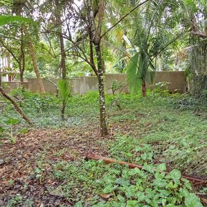 Land for Sale in Bandaragama Town - Image 2