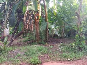 ඉඩම විකිණීමට - නිරාවුල රාගම