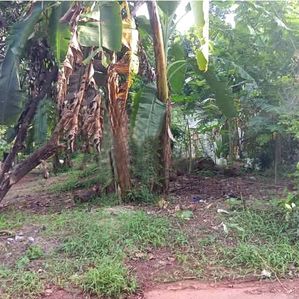 ඉඩම විකිණීමට - නිරාවුල රාගම - Image 2