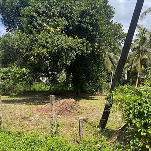 Highly Residential Property for Sale in Battaramulla - Image 2