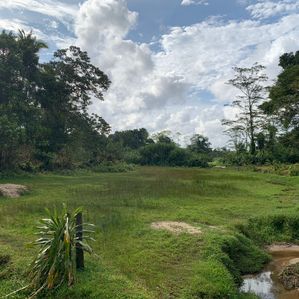 Land for Sale in Pitigala - Image 2