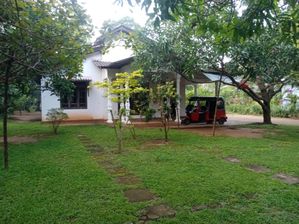 Land for Sale Dambulla