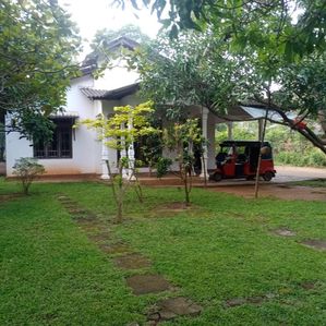 Land for Sale Dambulla - Image 2
