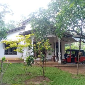 Land for Sale Dambulla - Image 3