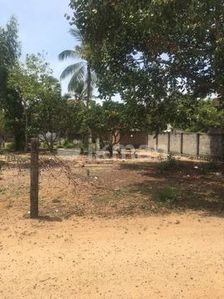 Land for Sale in Akkerapattu