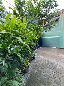 Land with House for Sale Kotahena