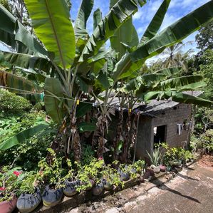 Land for Sale in Kalutara - Image 3