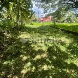 20P Land for Sale in Mallawapitiya Kurunegala - Image 2