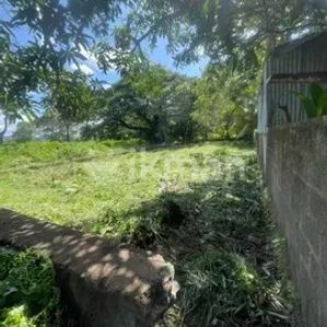 20P Land for Sale in Mallawapitiya Kurunegala - Image 3