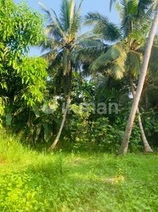 15 Perches of Land for Sale on Pitigala Road, Elpitiya, Galle