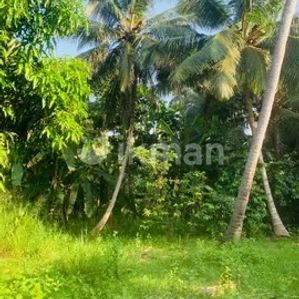 15 Perches of Land for Sale on Pitigala Road, Elpitiya, Galle - Image 2