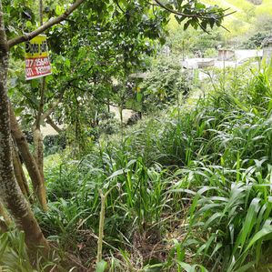 Land for Sale in Kandy - Image 3
