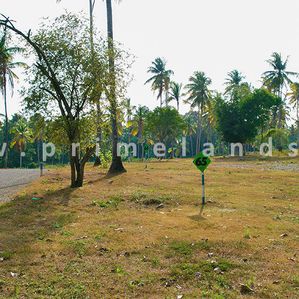 Land in Diwulapitiya - Image 2