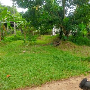 Land for Sale in Biyagama - Image 2