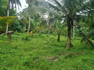 Land for Sale in Gampaha
