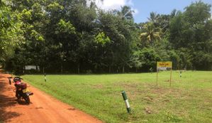Land for Sale Anuradhapura, Saliya Mawatha