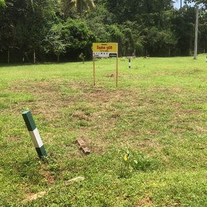 Land for Sale Anuradhapura, Saliya Mawatha - Image 3