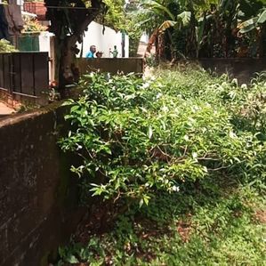 Land for Sale in Kadawatha - Image 3