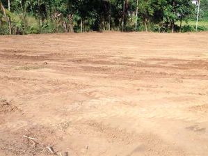 A Valuable 146 Perches Land For Sale in Homagama