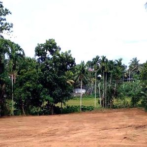 A Valuable 146 Perches Land For Sale in Homagama - Image 3