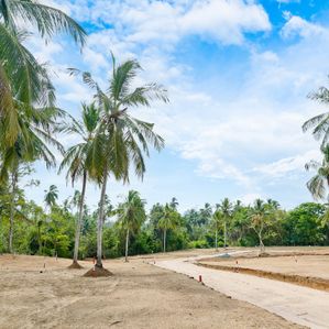 Valuable Land for Sale in Kurunagala with 20p - Image 2