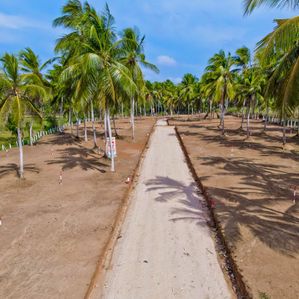 Valuable Land for Sale in Kurunagala with 20p - Image 3