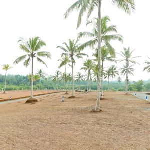 ගාල්ල නගරයෙන් ඉඩමක් විකිණීමට - Image 3