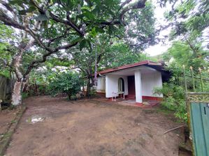 Land with House for Sale in Horana