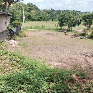 Land Sale Ragama - Image 3