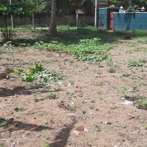 Land for sale in Panadura - Image 2