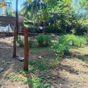 Land for Sale 26.8 P Homagama - Image 3