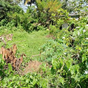 Land for Sale – Katubedda - Image 2